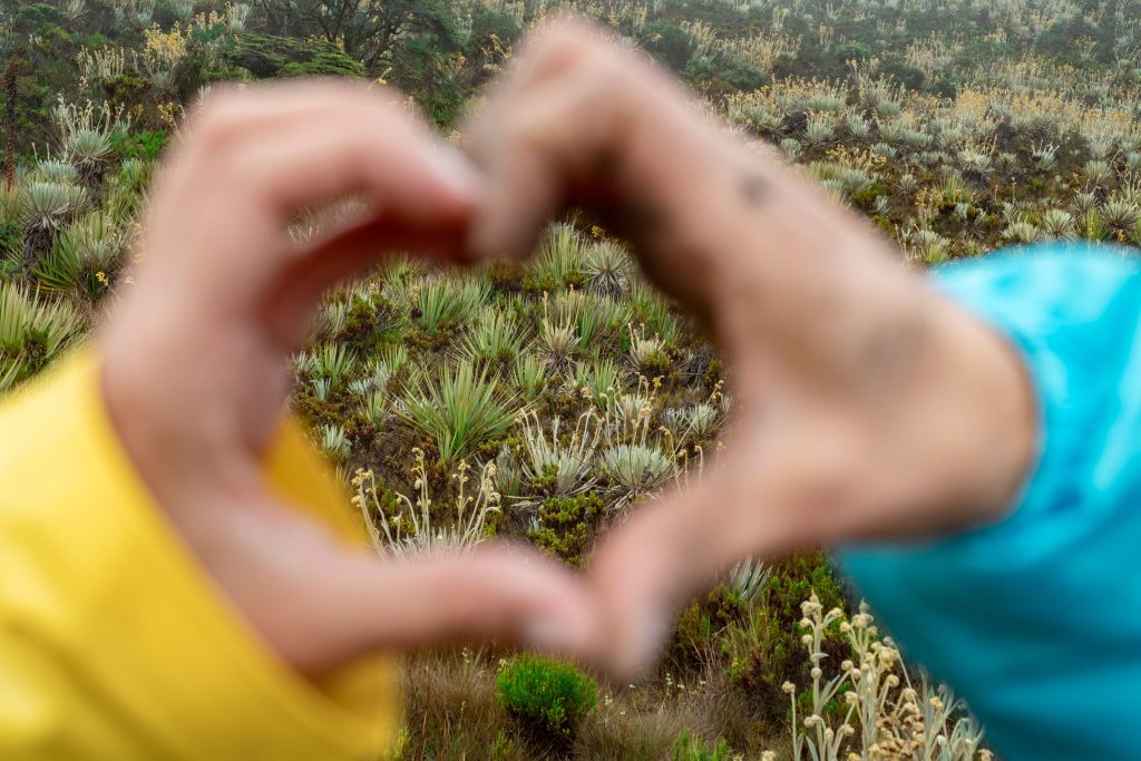 Heart - Via Sumapaz - Colombia